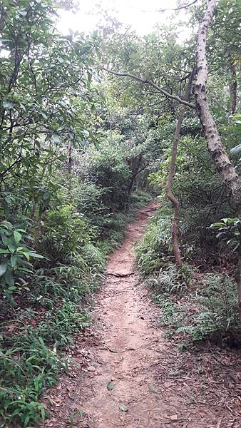 20210825_165259.jpg 20210825_165259.jpg