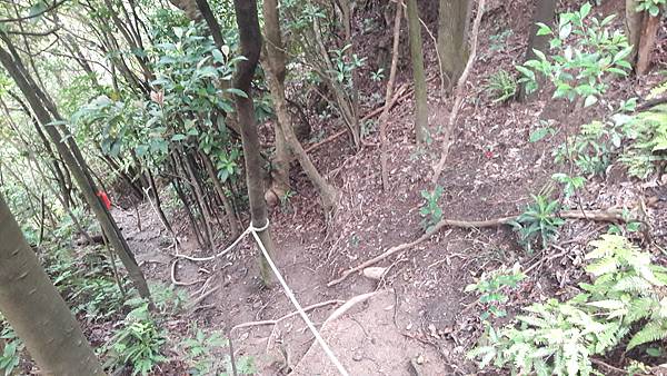 20210825_170324.jpg 20210825_170324.jpg