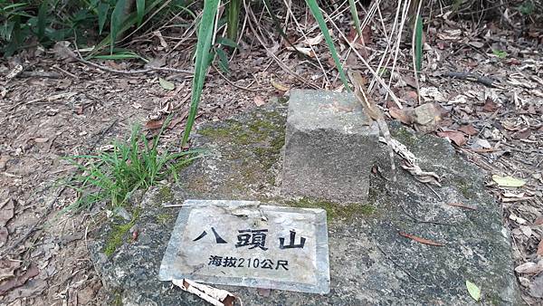 20210825_165645.jpg 20210825_165645.jpg