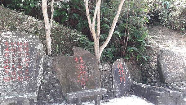 20210710_133217.jpg 20210710_133217.jpg