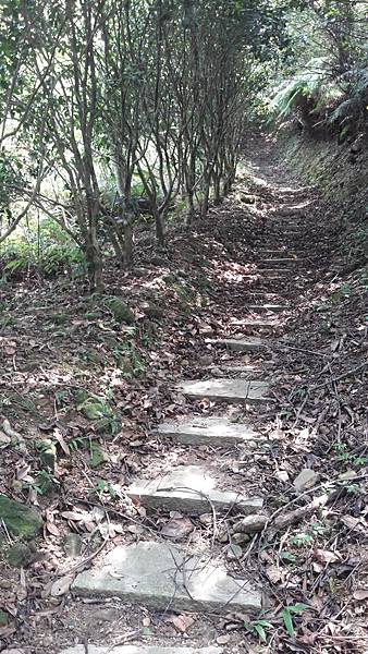 20210710_133901.jpg 20210710_133901.jpg