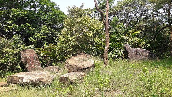 20210710_134627.jpg 20210710_134627.jpg