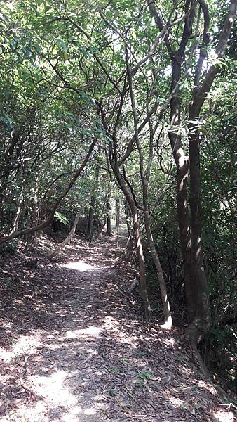 20210710_135900.jpg 20210710_135900.jpg