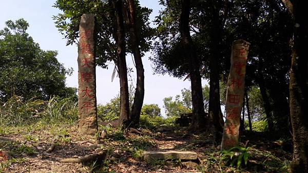 20210710_140041.jpg 20210710_140041.jpg