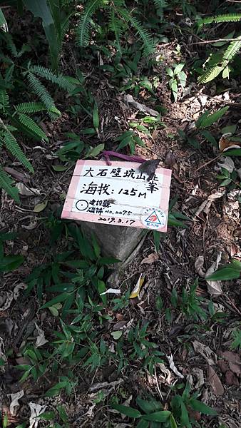 20210710_135037.jpg 20210710_135037.jpg