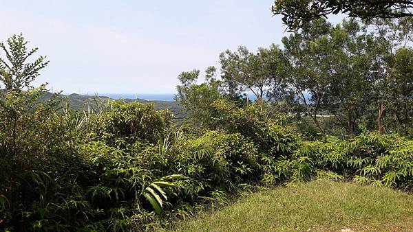 20210710_140110.jpg 20210710_140110.jpg