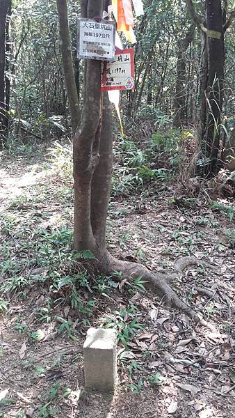 20210710_140929.jpg 20210710_140929.jpg