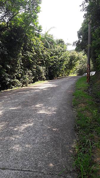 20210710_141557.jpg 20210710_141557.jpg