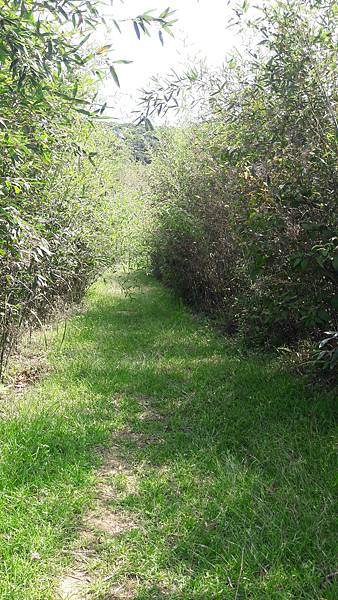 20210710_142020.jpg 20210710_142020.jpg