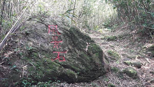 20210710_142909.jpg 20210710_142909.jpg