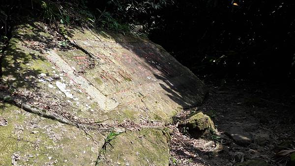 20210710_143037.jpg 20210710_143037.jpg