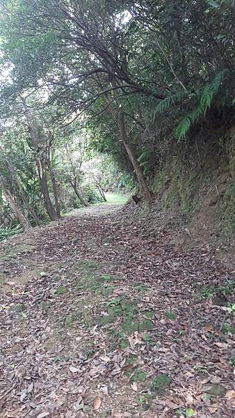 20210710_143717.jpg 20210710_143717.jpg