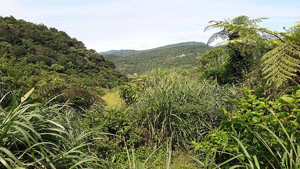 20210710_150410.jpg 20210710_150410.jpg