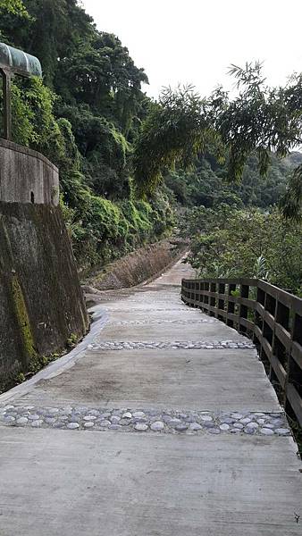 (325龍潭區)午後私房小旅 樟之細路 林埤古道 清水坑古道