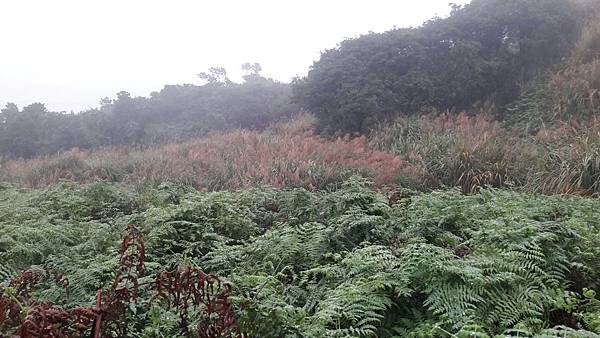 timeline_20220113_140659.jpg timeline_20220113_140659.jpg