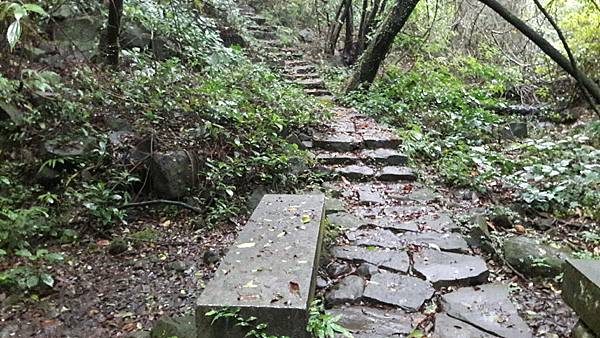 timeline_20220113_140701.jpg timeline_20220113_140701.jpg