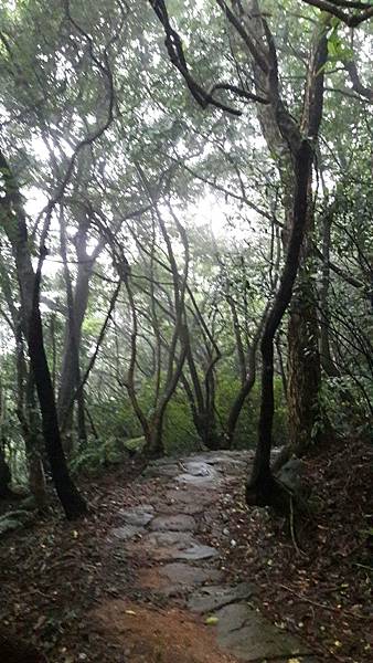 timeline_20220113_140653.jpg timeline_20220113_140653.jpg