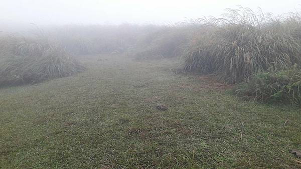 timeline_20220113_140707.jpg timeline_20220113_140707.jpg