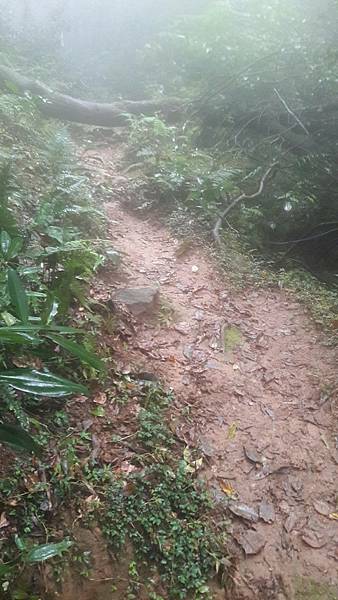 timeline_20220113_140710.jpg timeline_20220113_140710.jpg