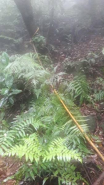 timeline_20220113_140712.jpg timeline_20220113_140712.jpg