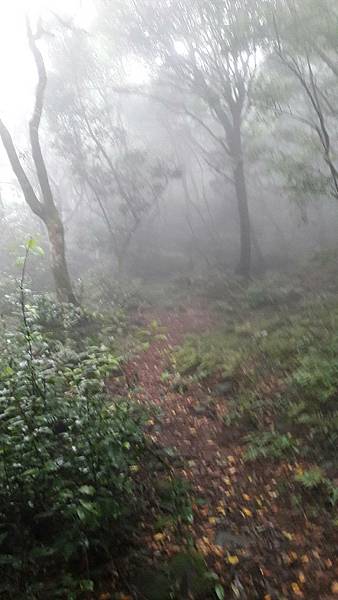 timeline_20220113_140715.jpg timeline_20220113_140715.jpg