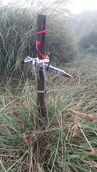 timeline_20220113_140708.jpg timeline_20220113_140708.jpg