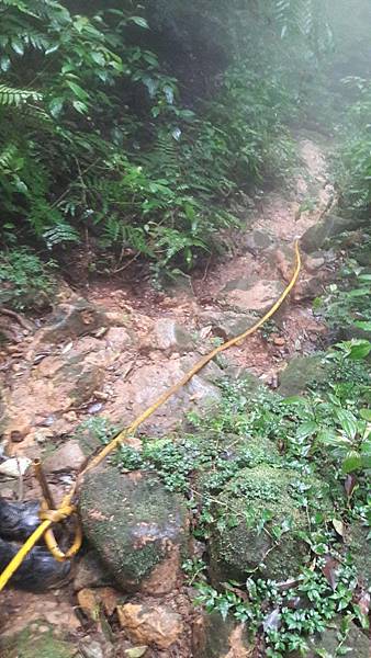 timeline_20220113_140713.jpg timeline_20220113_140713.jpg