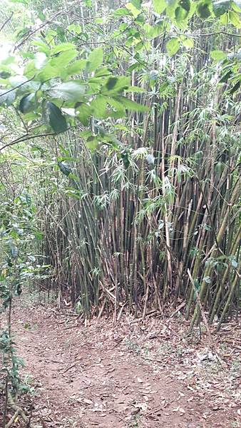 timeline_20220113_140724.jpg timeline_20220113_140724.jpg