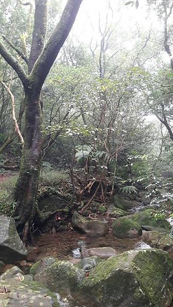 timeline_20220113_140721.jpg timeline_20220113_140721.jpg