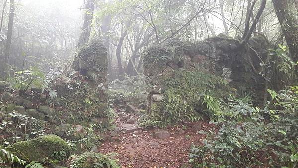 timeline_20220113_140717.jpg timeline_20220113_140717.jpg