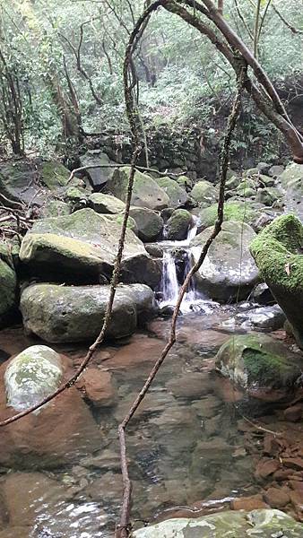 timeline_20220113_140722.jpg timeline_20220113_140722.jpg