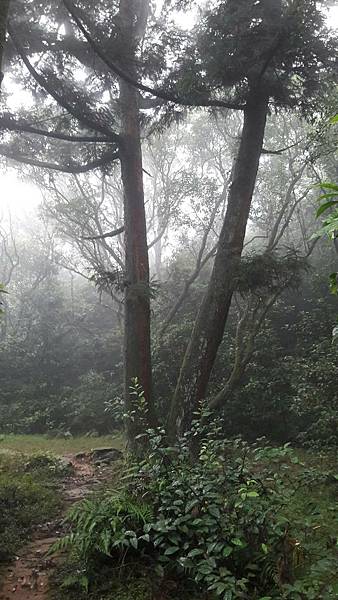 timeline_20220113_140719.jpg timeline_20220113_140719.jpg