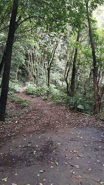 timeline_20220113_140726.jpg timeline_20220113_140726.jpg