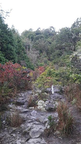 timeline_20220329_205846.jpg timeline_20220329_205846.jpg