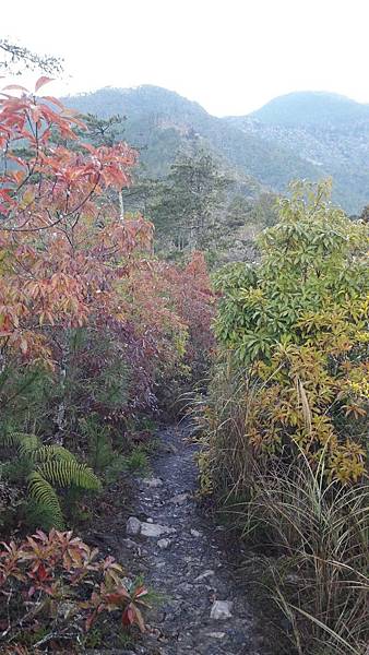 timeline_20220329_205847.jpg timeline_20220329_205847.jpg