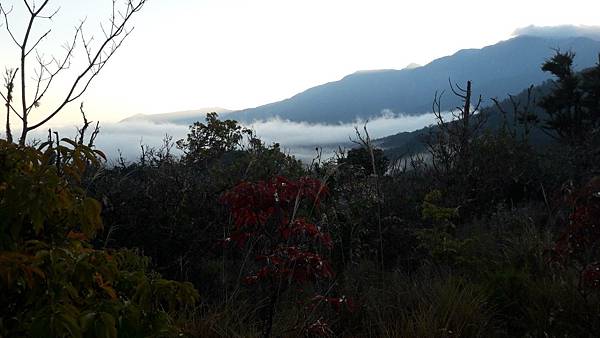 timeline_20220329_205853.jpg timeline_20220329_205853.jpg