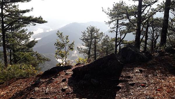 timeline_20220329_205856.jpg timeline_20220329_205856.jpg