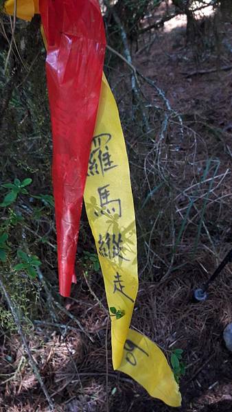 timeline_20220329_205900.jpg timeline_20220329_205900.jpg