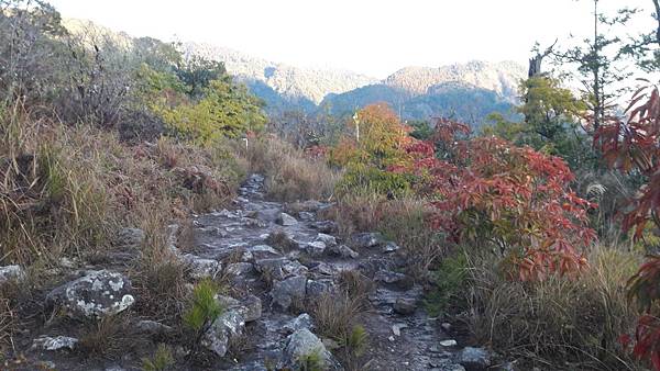 timeline_20220329_205851.jpg timeline_20220329_205851.jpg