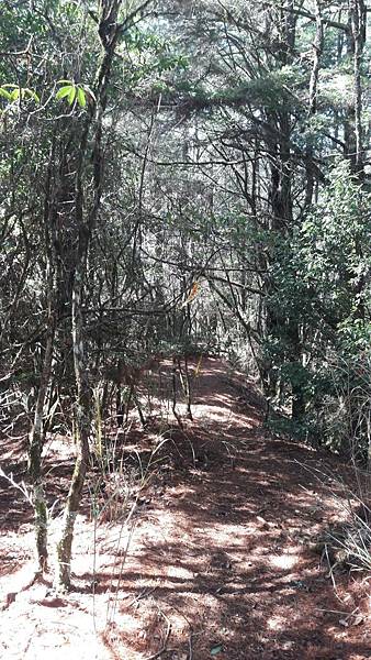 timeline_20220329_205904.jpg timeline_20220329_205904.jpg