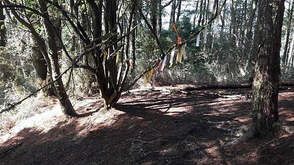 timeline_20220329_205902.jpg timeline_20220329_205902.jpg