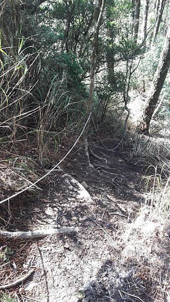 timeline_20220329_205906.jpg timeline_20220329_205906.jpg