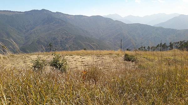 timeline_20220329_205912.jpg timeline_20220329_205912.jpg