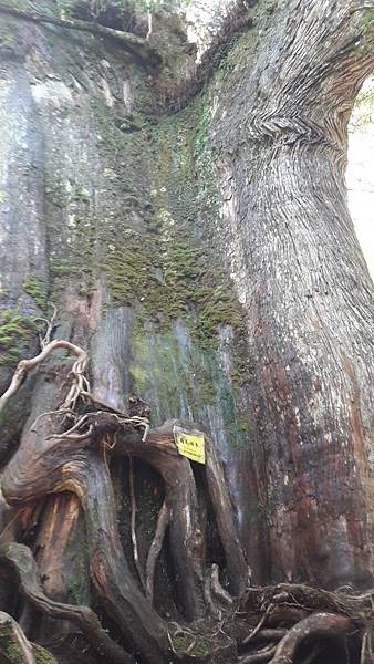 timeline_20220329_205910.jpg timeline_20220329_205910.jpg