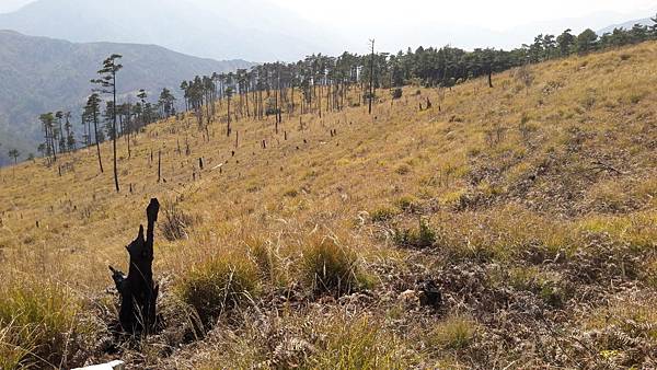 timeline_20220329_205914.jpg timeline_20220329_205914.jpg