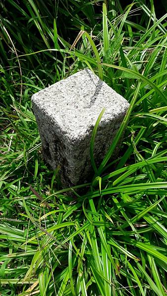 timeline_20210903_155528.jpg timeline_20210903_155528.jpg