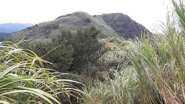 timeline_20210903_155513.jpg timeline_20210903_155513.jpg