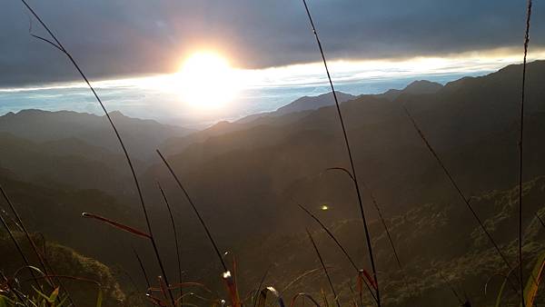 20221109_061530.jpg 20221109_061530.jpg