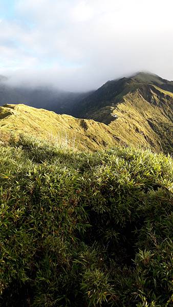 20221109_064006.jpg 20221109_064006.jpg