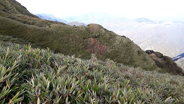 20221109_073513.jpg 20221109_073513.jpg